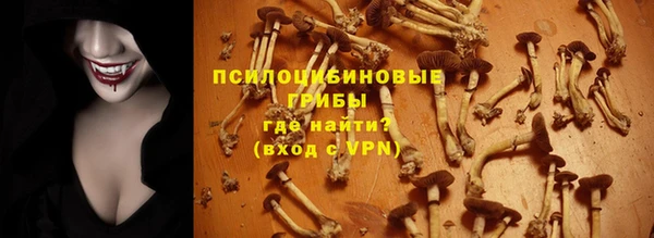 дурь Нефтекумск