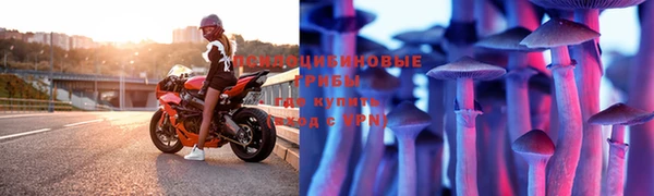 индика Абинск