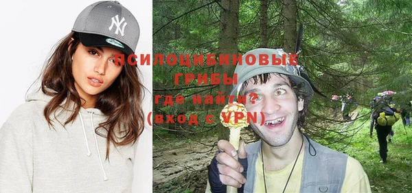 ПСИЛОЦИБИНОВЫЕ ГРИБЫ Бежецк