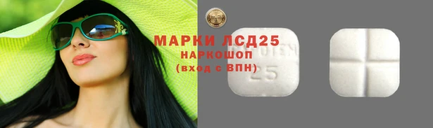 гидропоника Нея