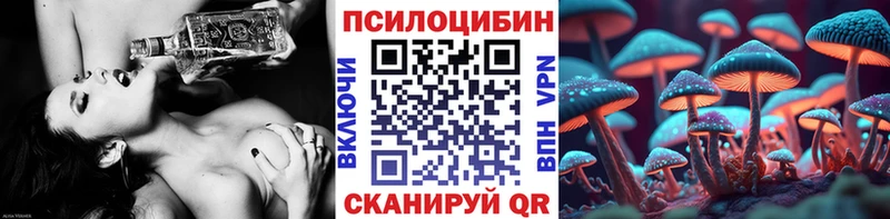 Псилоцибиновые грибы MAGIC MUSHROOMS  kraken сайт  Терек  где можно купить  