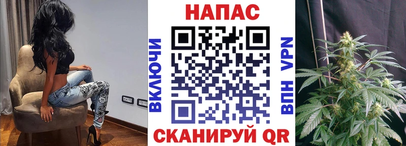 сайты даркнета официальный сайт  MEGA   Каннабис MAZAR  Терек  где купить наркотик 